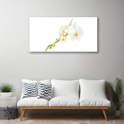 Tableaux sur verre Fleurs floral blanc