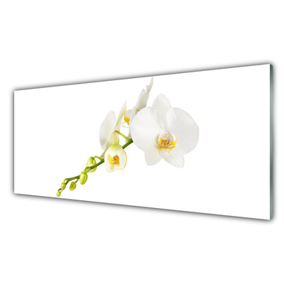 Tableaux sur verre Fleurs floral blanc