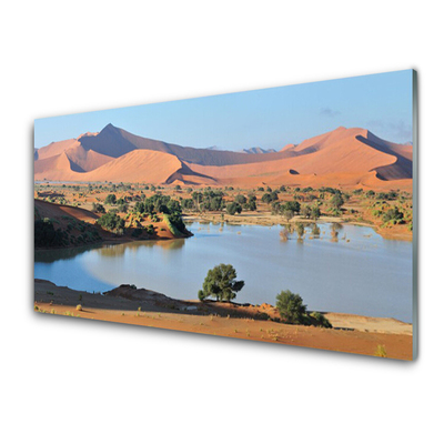 Tableaux sur verre Désert baie paysage brun vert bleu