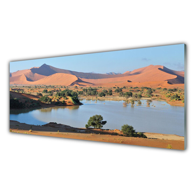 Tableaux sur verre Désert baie paysage brun vert bleu