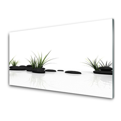 Tableaux sur verre Pierres herbe art noir vert