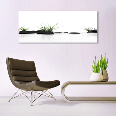 Tableaux sur verre Pierres herbe art noir vert