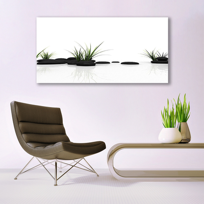 Tableaux sur verre Pierres herbe art noir vert