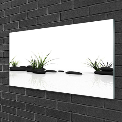 Tableaux sur verre Pierres herbe art noir vert