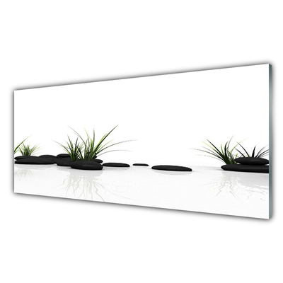 Tableaux sur verre Pierres herbe art noir vert