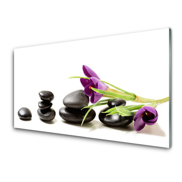 Tableaux sur verre Pierres fleurs art noir rose vert