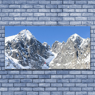 Tableaux sur verre Neige montagne paysage gris blanc