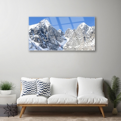 Tableaux sur verre Neige montagne paysage gris blanc