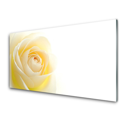 Tableaux sur verre Rose floral blanc jaune