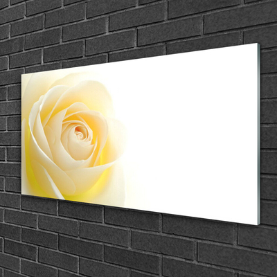 Tableaux sur verre Rose floral blanc jaune
