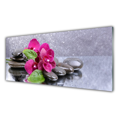 Tableaux sur verre Pierres fleurs art rouge noir