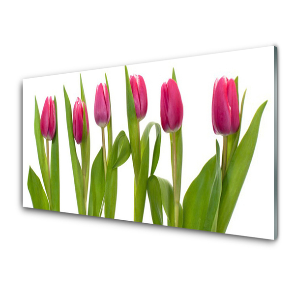 Tableaux sur verre Tulipes floral rouge