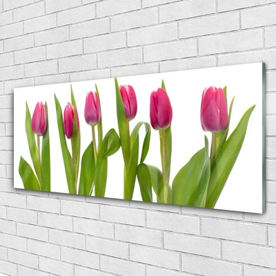 Tableaux sur verre Tulipes floral rouge