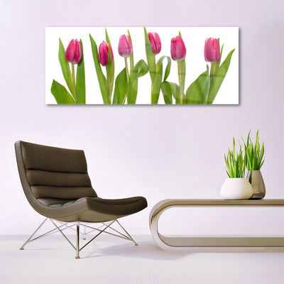 Tableaux sur verre Tulipes floral rouge