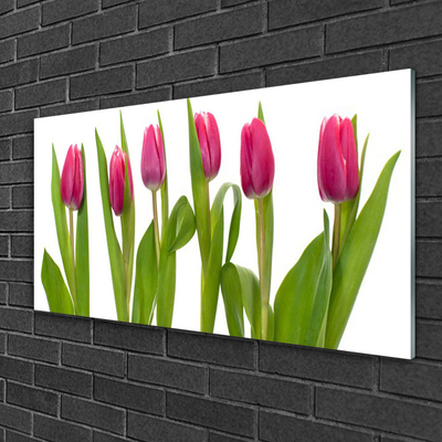 Tableaux sur verre Tulipes floral rouge