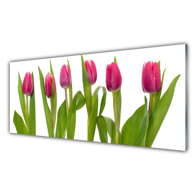 Tableaux sur verre Tulipes floral rouge