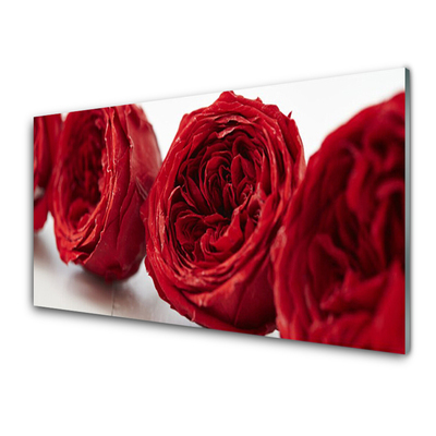 Tableaux sur verre Roses floral rouge