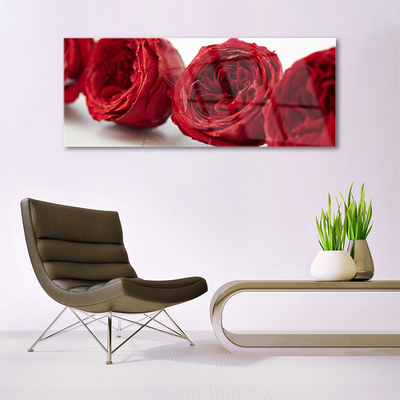 Tableaux sur verre Roses floral rouge