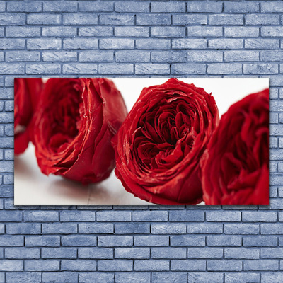 Tableaux sur verre Roses floral rouge