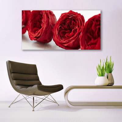 Tableaux sur verre Roses floral rouge