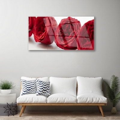 Tableaux sur verre Roses floral rouge