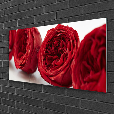 Tableaux sur verre Roses floral rouge