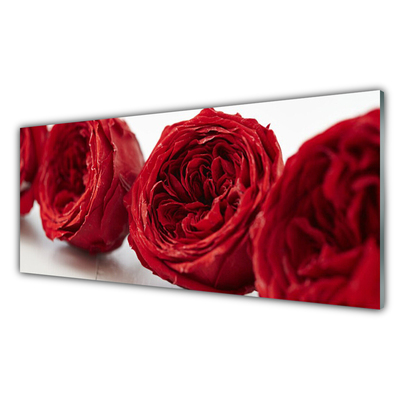 Tableaux sur verre Roses floral rouge