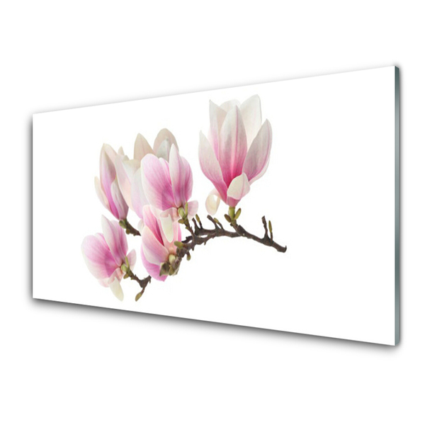 Tableaux sur verre Fleurs floral rose blanc