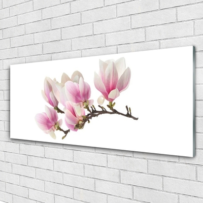 Tableaux sur verre Fleurs floral rose blanc