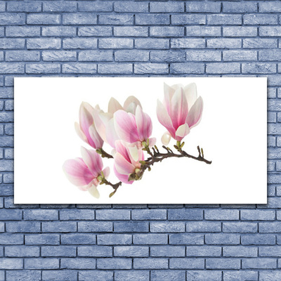 Tableaux sur verre Fleurs floral rose blanc