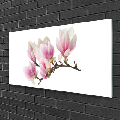 Tableaux sur verre Fleurs floral rose blanc