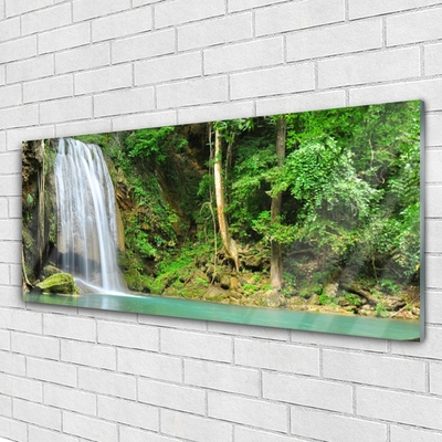 Tableaux sur verre Forêt chute d'eau nature blanc bleu brun vert