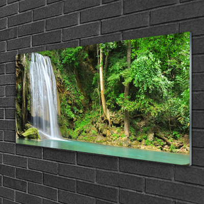 Tableaux sur verre Forêt chute d'eau nature blanc bleu brun vert