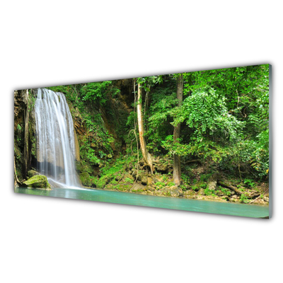 Tableaux sur verre Forêt chute d'eau nature blanc bleu brun vert