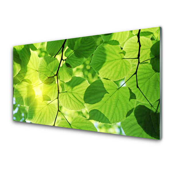 Tableaux sur verre Feuilles floral vert brun
