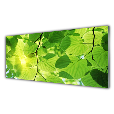 Tableaux sur verre Feuilles floral vert brun