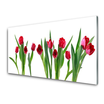 Tableaux sur verre Tulipes floral rouge