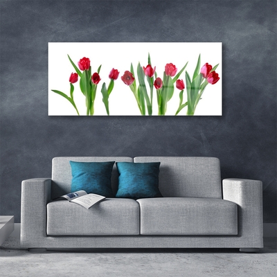 Tableaux sur verre Tulipes floral rouge