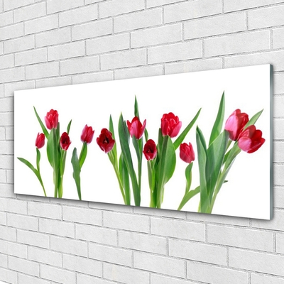 Tableaux sur verre Tulipes floral rouge