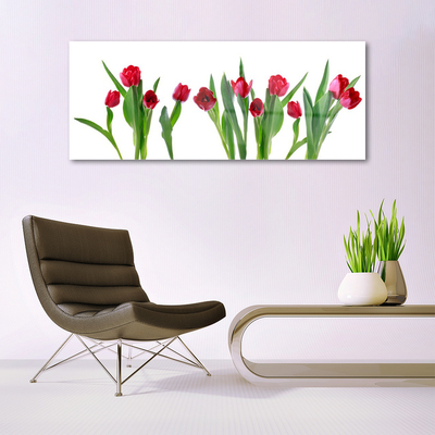 Tableaux sur verre Tulipes floral rouge