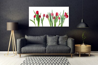 Tableaux sur verre Tulipes floral rouge