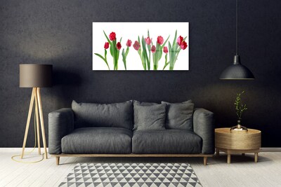 Tableaux sur verre Tulipes floral rouge