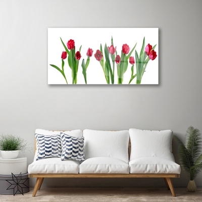 Tableaux sur verre Tulipes floral rouge