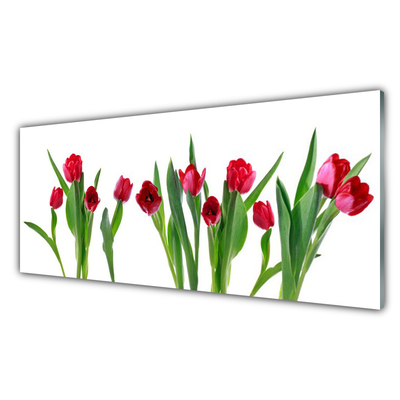 Tableaux sur verre Tulipes floral rouge