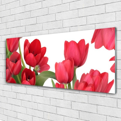 Tableaux sur verre Tulipes floral rouge