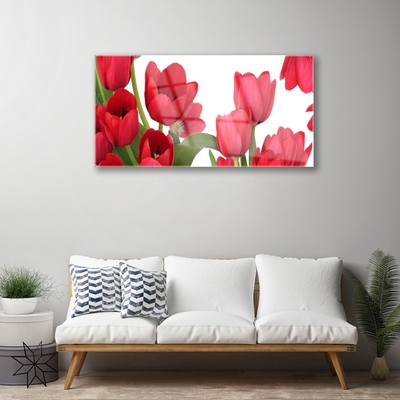 Tableaux sur verre Tulipes floral rouge