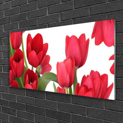 Tableaux sur verre Tulipes floral rouge