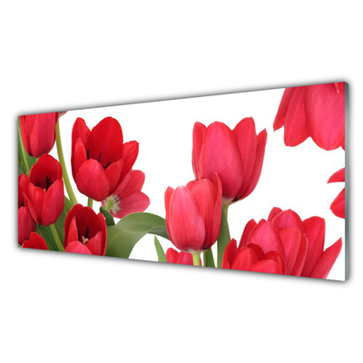 Tableaux sur verre Tulipes floral rouge