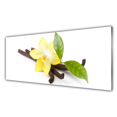 Tableaux sur verre Feuilles vanille floral brun jaune vert