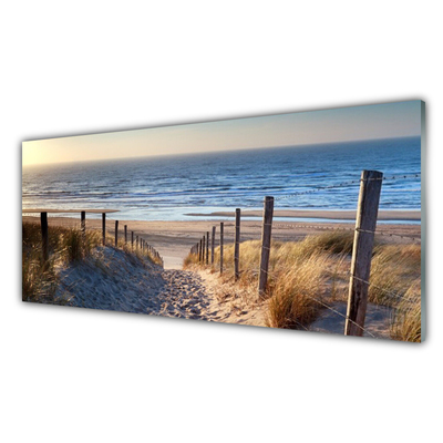 Tableaux sur verre Sentier plage paysage brun
